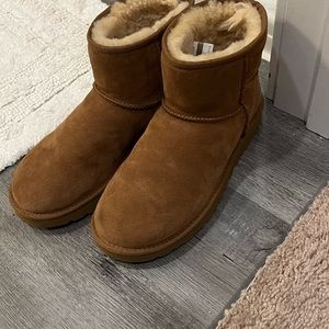 Ugg classic mini boot in chestnut